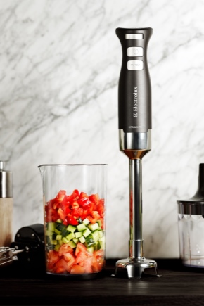  Professional submersible blender