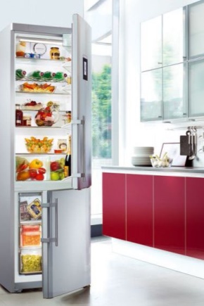  Liebherr two-compartment refrigerator