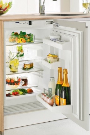 Small built-in refrigerator