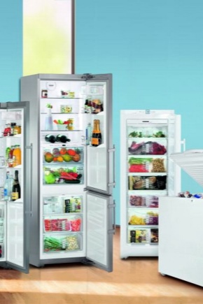  Single chamber refrigerator without freezer