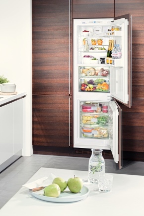  Rating of the best refrigerators No Frost