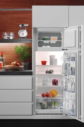  Built-in Electrolux two-chamber refrigerator