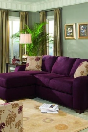  Purple sofa