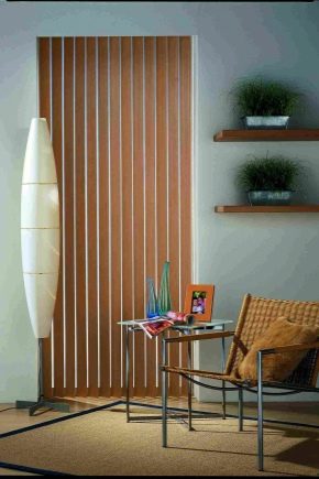  Blinds di pintu