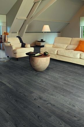  Westerhof laminate: advantages and disadvantages