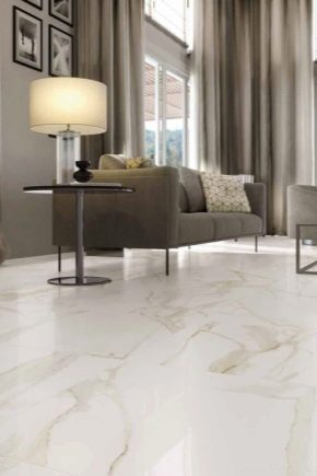  Porcelain stoneware marbled: the subtleties of interior design