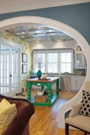  Arched drywall: views and ideas for structures