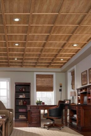  Ceiling panels: features of choice