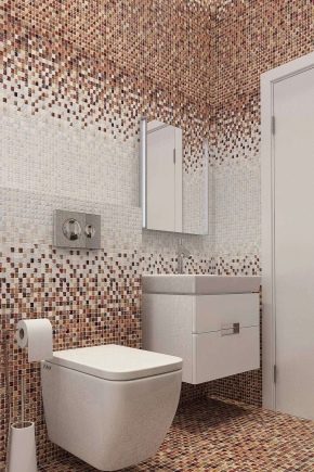  Mosaic in the toilet: examples of spectacular finishes