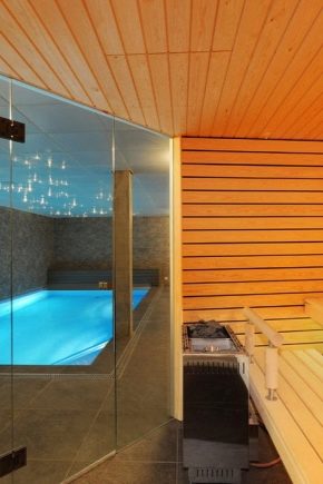  Projet bain avec piscine: exemples de design