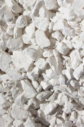  Quicklime: pros and cons