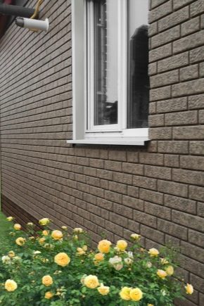  Stone House siding: types and characteristics