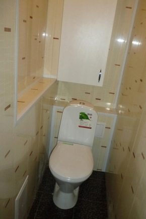  WC obloženie plastové panely: možnosti dizajnu