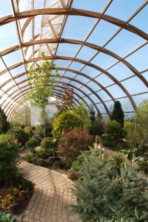  Film for greenhouses: features of choice