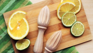  Manual citrus juicer