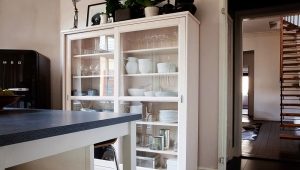  Cabinet for dishes in the kitchen