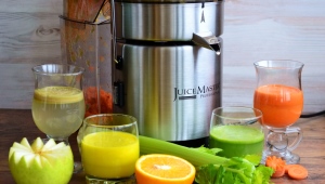  Juice Master Professional Juicer