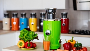  Fruit and vegetable juicers