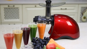  How to choose a juicer for vegetables and fruits