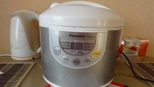  Panasonic Steamer