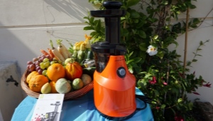  Top Hodnotenie Auger Juicer