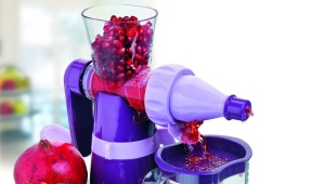  Manual Auger Juicer