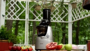  Garden juicer