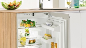  Small built-in refrigerator