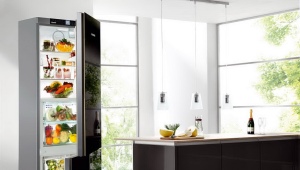  Ranking of the best two-chamber refrigerators