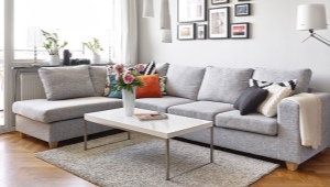  Sofa transformasi jenis lumba-lumba