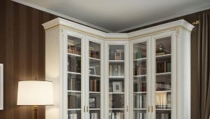  White bookcases