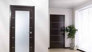  Wenge interior doors