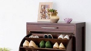  Shoe Cabinets