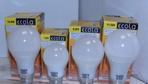  Ecola LED izzók