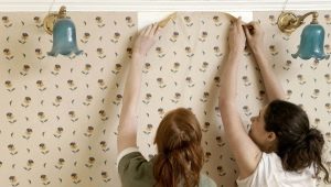  Remove old wallpaper without damaging the walls.