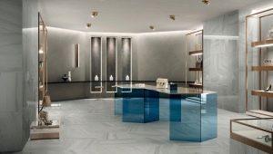  Italon porcelain stoneware: characteristics and description of collections