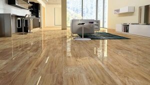  Porcelain stoneware for parquet: features of choice