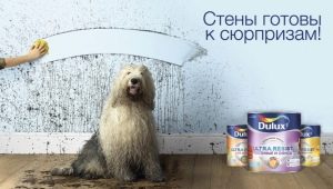  Zmywalna farba do ścian Dulux: charakterystyka i zakres