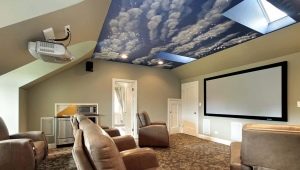  Stretch ceiling Sky: options in the interior