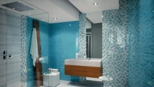  Tile Fap: advantages and disadvantages