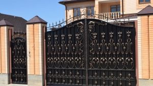  Gate with a wicket: designs