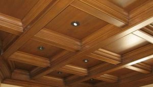  Caisson ceiling: the pros and cons