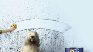  Farby Dulux: Klady a zápory