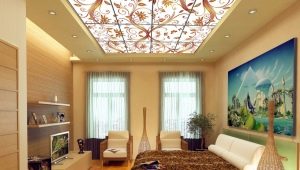  False ceiling: pros and cons