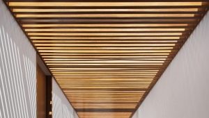  Wooden slat ceilings: types and design features