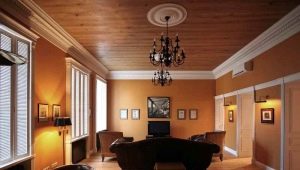  Lining ceilings in modern interior design