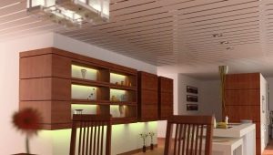  Rack aluminum ceiling: advantages and disadvantages