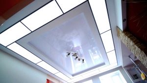  Light panels on the ceiling: features and benefits