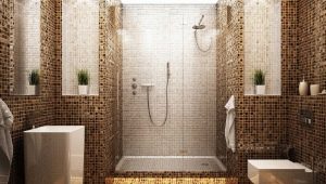  Ceramic mosaic: features and benefits