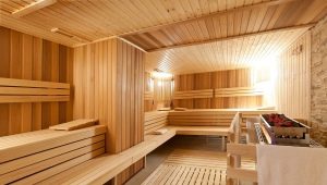  Features and scope of use of cedar lining